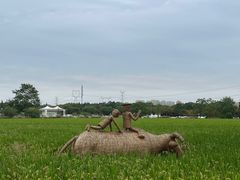 -嘉北郊野公园