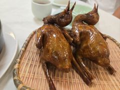 -五谷芳乳鸽王(梅沙老店)