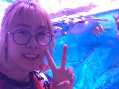 -暹罗海洋世界