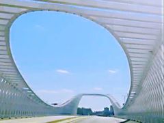 -大兴滨河森林公园