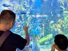 -烟台海昌鲸鲨海洋公园