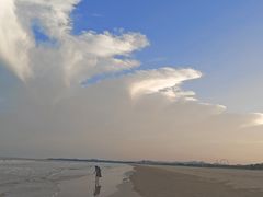 -日照海滨国家森林公园