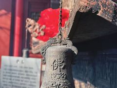 -郑庄脂渣海鲜楼(九水路店)