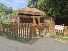 -王借岗森林公园