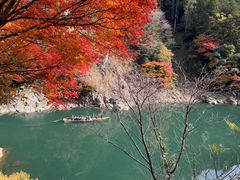 -岚山嵯峨野观光小火车