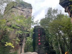 -汤旺河林海奇石景区