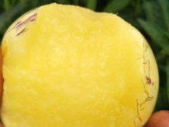 -五里多农博广场