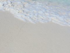 -白沙滩