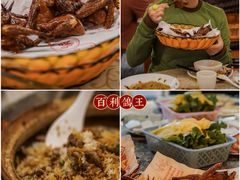 -百利鸽王(紫薇路店)