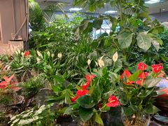 -双季花艺园艺市场(浦东店)