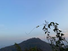 -九曜山