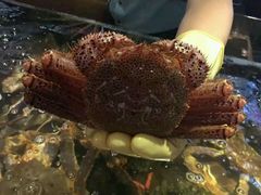 -蟹之国·精品蟹料理(极地店)