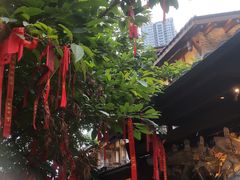 -重庆十八梯传统风貌区