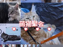 -星光摄影器材城