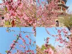 -东山湖温泉度假村