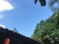 -观澜山水田园