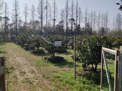 -前小桔亲子创意农场·草莓采摘·露营烧烤