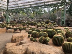 -东芭乐园
