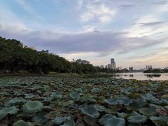 -南宁南湖公园