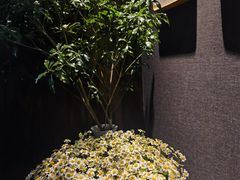 -荣轩(新荣记环球金融中心店)