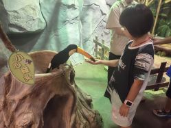 -Zoolung Zoolung动物主题公园(海信广场店)