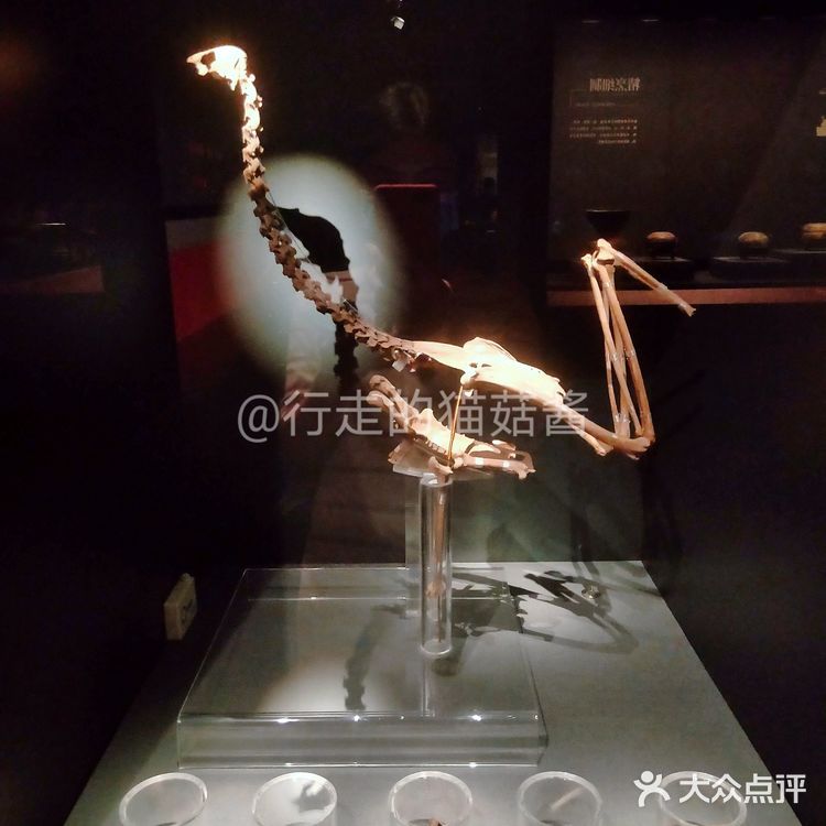 湖南省博物馆参观指南，值得看的马王堆汉墓