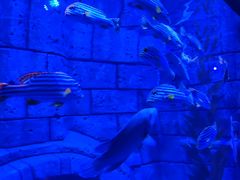 -波塞冬旅游度假区