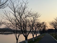 -羊山湖公园