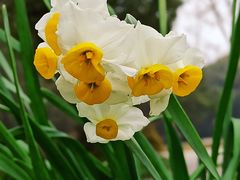 -共青国家森林公园-售票处