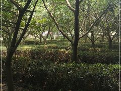 -九龙潭景区