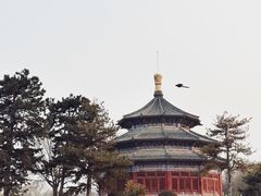 -中国唐苑