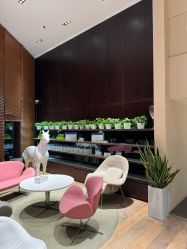 -NEW FACE烫染专业店