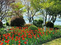 -浙江西子宾馆·牡丹厅