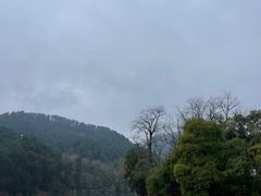 -黔灵山公园