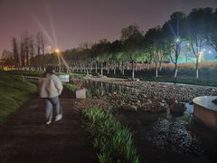 -皇粮浜公园