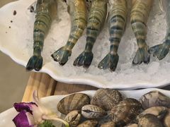 -椰子湾·海南火锅·糟粕醋·椰子鸡(正大广场店)