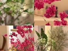 -HUATA 'Holiday Plan 花榻