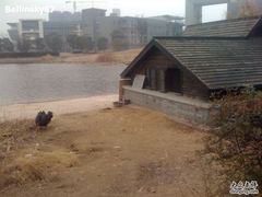 -同济大学(嘉定校区)