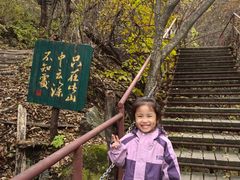 -龙道沟景区