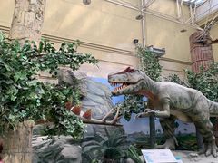 -国家自然博物馆