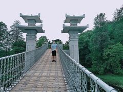 -东湖落雁景区