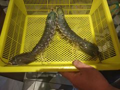 -泰华海鲜中餐厅(普吉镇店)