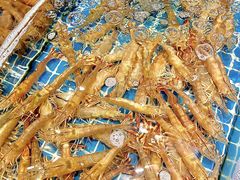 -三亚火车头万人海鲜广场