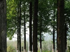 -东钱湖旅游度假区