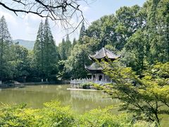 -习家池