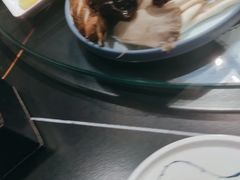 -常赢三兄弟·清真涮肉·清真炒菜(朝阳新城店)