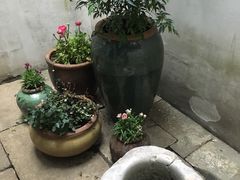 -苏州文旅花间堂·探花府酒店