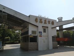 -金花茶公园