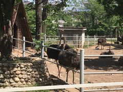 -西安秦岭野生动物园