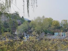 -北京西山国家森林公园